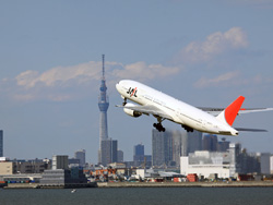 飛行機写真の館 壁紙館 日本のエアライン