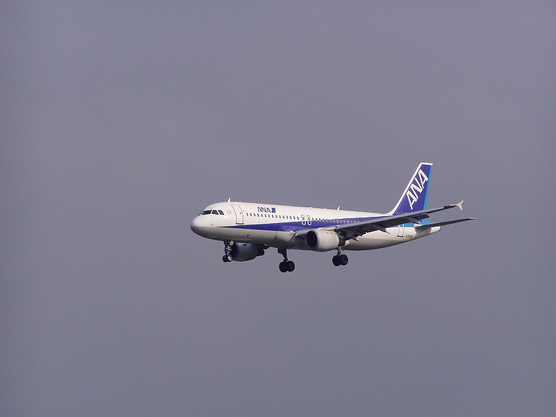 sPB060007.jpg