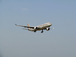 20100429_0027_thumb.jpg