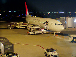 JAL737-800ېdl